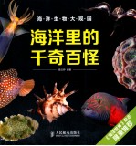 海洋里的千奇百怪  彩印