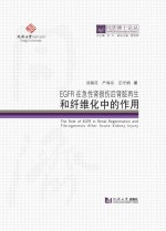 EGFR在急性肾损伤后肾脏再生和纤维化中的作用