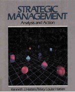 Strategic <em>Management</em> Analysis and Action