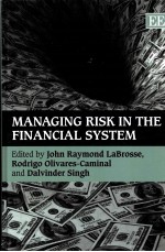 MANAGING RISK IN <em>THE</em> FIBANCIAL <em>SYSTEM</em>