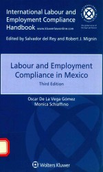 Labour and e<em>mp</em>loy<em>me</em>nt co<em>mp</em>liance in <em>Me</em>xico