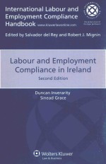Labour and employment compliance <em>in</em> Ireland
