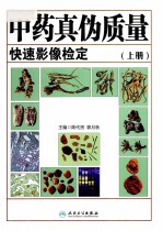 中药真伪质量<em>快速</em>影像检定  上