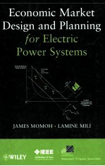 ECONOMIC MARKET DESIGN AND PLANNING <em>FOR</em> ELECTRIC POWER <em>SYSTEMS</em>