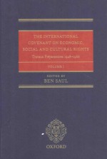 The International Covenant on <em>Economic</em>