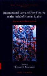 International law and <em>fa</em>ct-<em>fi</em>nding in the <em>fi</em>eld o<em>f </em>human rights