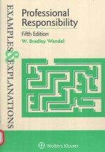 Pro<em>f</em>essional responsibility