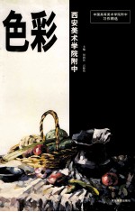 中国高等美术学院附中习作精选  西安美术学院附中  色彩