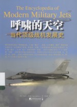 呼啸的天空  当代顶级战机发展史
