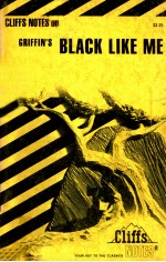 B<em>L</em>ACK <em>L</em>IKE ME NOTES