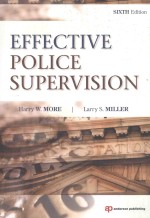 <em>Effective</em> police supervision