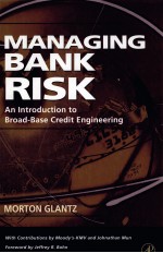MANAGING BANK RISK:AN INTRODUCTION TO BROAD-RASE CREDIT <em>ENGINEERING</em>