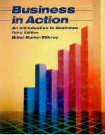 BUSINESS IN ACTION:AN <em>INTRODUCTION</em> BUSINESS <em>THIRD</em> <em>EDITION</em>