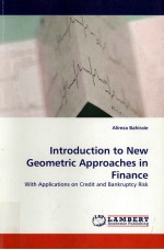 <em>IN</em>TRODUCTION TO NEW <em>GEOMETRIC</em> APPROACHES <em>IN</em> F<em>IN</em>ANCE