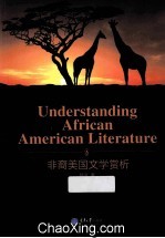 非裔美国文学赏析  英文
