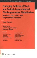 Emerging patterns of work <em>and</em> Turkish labour market challenges under globalization