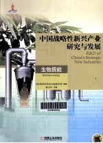 中国战略性新兴产业<em>研究</em>与发展  生物质能