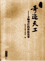 象牙之塔  象牙雕刻艺术把玩与鉴赏