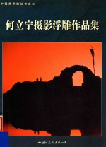何立宁<em>摄</em>影浮雕作品集