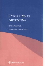 Cyber <em>l<em>a</em>w</em> <em>in</em> <em>A</em>rgent<em>in</em><em>a</em>