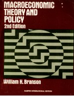 MACROECONOMIC THEORY AND POLICY <em>2ND</em> <em>EDITION</em>