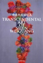 <em>申</em>伟光超验绘画