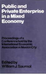 <em>PUBLIC</em> <em><em>AN</em>D</em> PRIVATE ENTERPRISE <em>IN</em> A MIXED ECONOMY