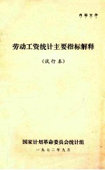 劳动工资统计主要指标解释  试行本