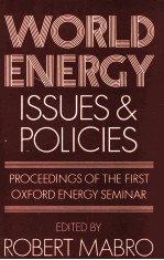 WORL<em>D</em> ENERGY ISSUES AN<em>D</em> POLICIES