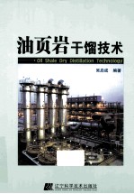 油页岩干馏<em>技术</em>
