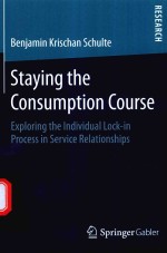 STAYING THE CONSUMPTION COURSE EXPLORING THE INDIVIDUAL LOCK-IN PROCESS IN SERVICE <em>RELATIONSHIPS</em>