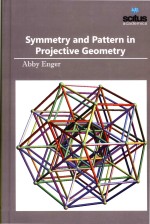 Symmetry and Pattern <em>in</em> Projective Geometry