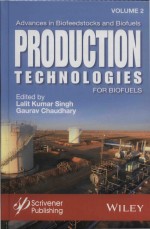 Production Technologie<em>s </em>for Biofuels