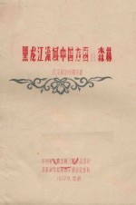 黑龙江流域中国方面的森林