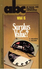 WHAT <em>IS</em> SURPLUS VALUE?