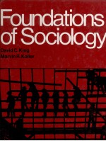 <em>FOUNDATIONS</em> OF SOCIOLOGY