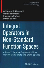 INTEGRAL OPERATORS IN NON-STANDARD FUNCTION SPACES VOLUME <em>2</em>:VARIABLE EXPONENT HOLDER