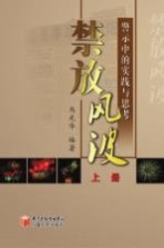 禁放风波  警示<em>中的</em><em>实践</em><em>与</em><em>思考</em>  上