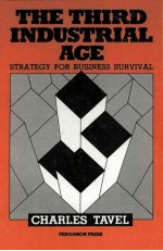 THE THIRD INDUSTRI<em>A</em>L <em>A</em>GE STR<em>A</em>TEGY FOR BUSINESS SURVIV<em>A</em>L