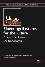 Bioenergy Systems <em>For</em> <em>The</em> Future