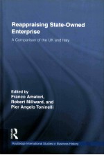 REAPPRAISING STATE-OWNED ENTERPRISE:A COMPARISON OF <em>THE</em> UK AND LTALY