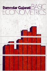 <em>BASIC</em> ECONOMETRICS