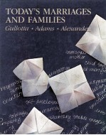 Today's Marriages And <em>F</em>amilies A Wellness Approach