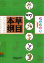 本草纲目  彩色精华版