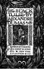 <em>THE</em> BLACK TULIP