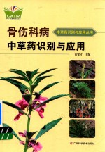 骨科伤病<em>中<em>草药</em></em>识别与应用