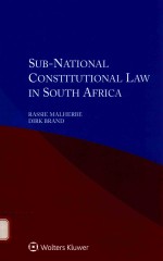 Sub n<em>a</em>tion<em>a</em>l constitution<em>a</em>l <em>l<em>a</em>w</em> <em>in</em> South <em>A</em>fric<em>a</em>