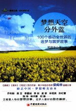梦想天空分外蓝  100个感动全<em>世界</em>的追梦与圆梦故事