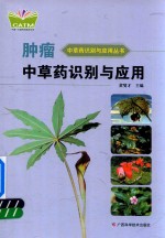 肿瘤<em>中<em>草药</em></em>识别与应用