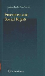 Enterprise and s<em>oc</em>ial rights